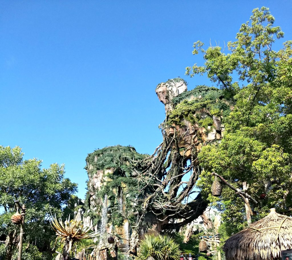 animal kingdom2