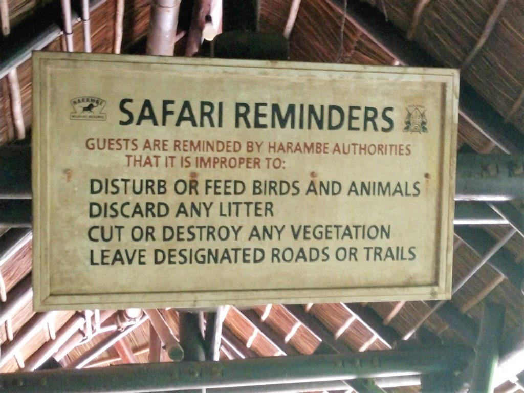 safari ride