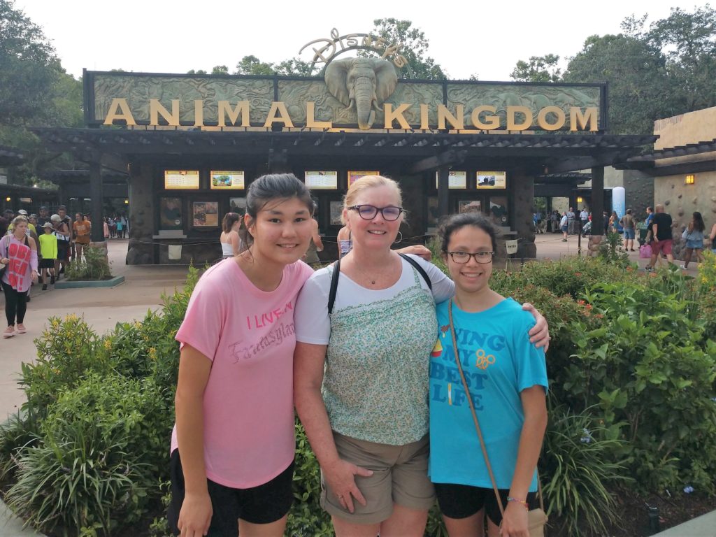 animal kingdom
