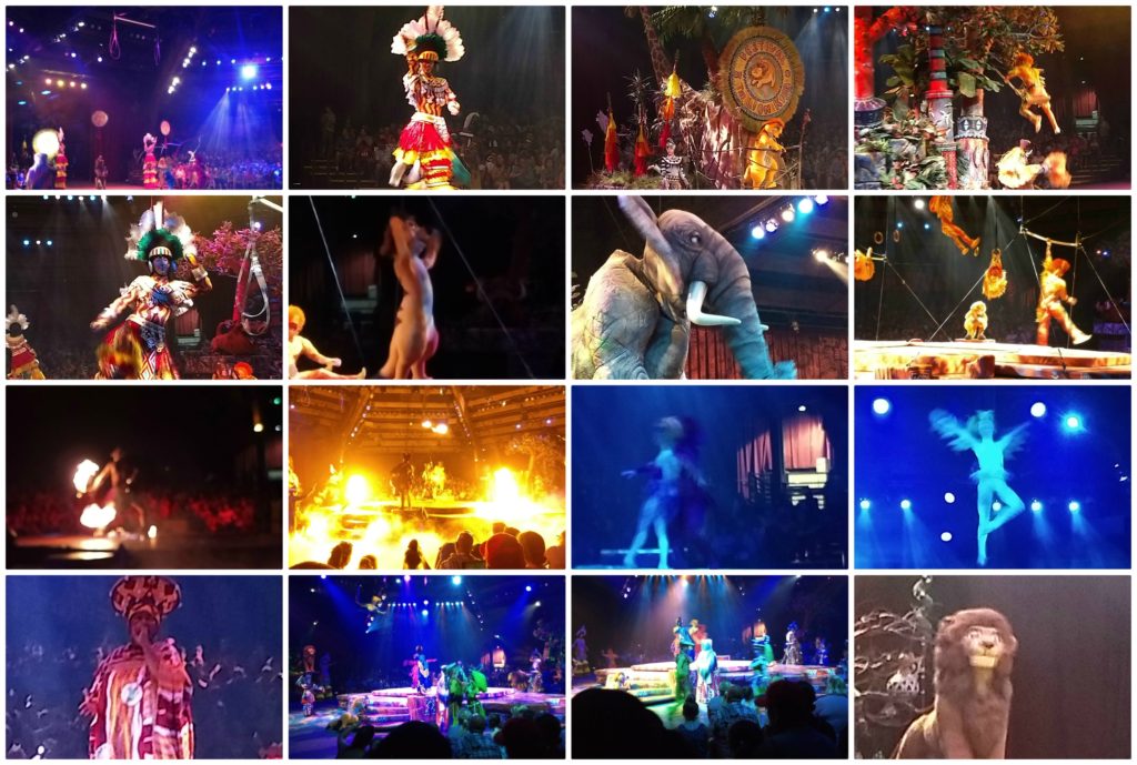 LionKingShowcollage